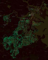 Cartographier les arbres de nos métropoles - Image 1