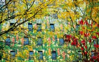 La forêt linéaire de la ZAC Claude Bernard à Paris - Image 1