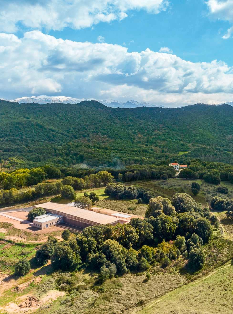 L'école A Strega en Corse par l'architecte Amelia Tavella