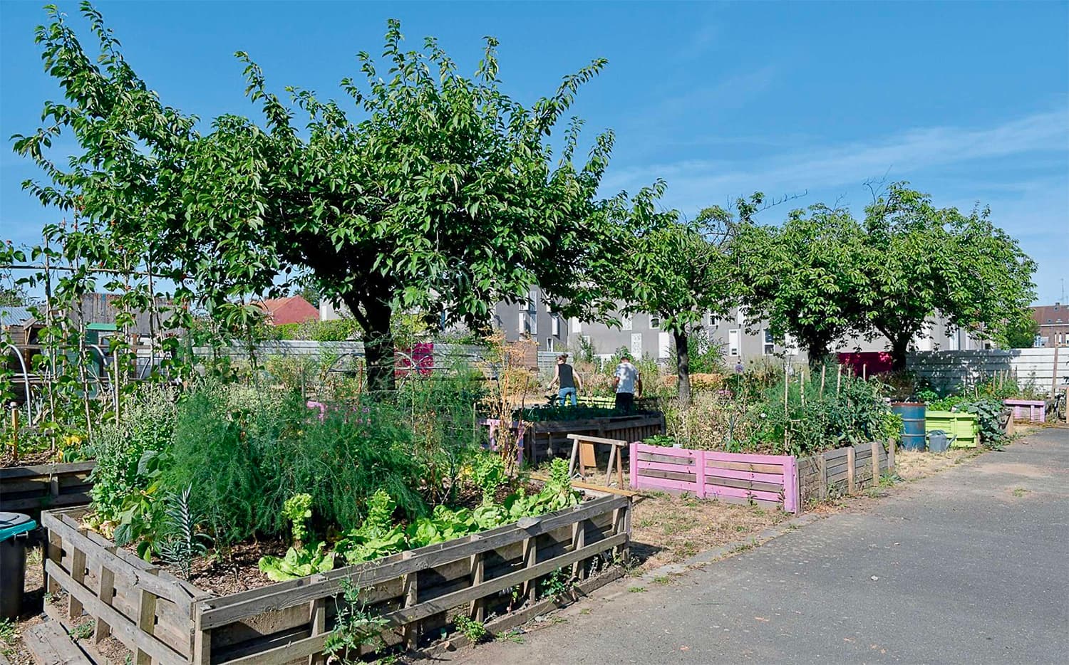 Les villes de demain seront-elles comestibles ?