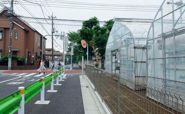 Nerima, 430 fermes urbaines dans Tokyo