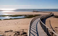 Passerelle en milieu protégé en Vendée par l'agence D'ici là ! - Image 1