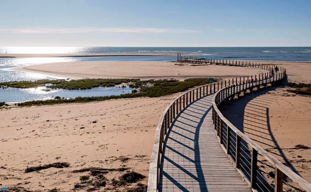 Passerelle en milieu protégé en Vendée par l'agence D'ici là !