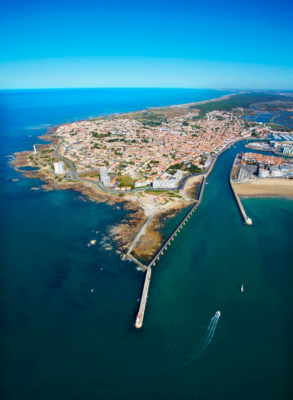 Un million d’arbres en plus aux Sables d’Olonne