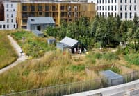 Pour des projets urbains biomimétiques - Image 2
