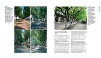 Apprendre à bien planter en ville avec le livre illustré « Des arbres dans la ville - l’urbanisme végétal »  - Image 2