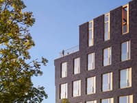 Construire toujours plus haut en bois - Image 2