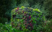 Festival de jardins à Amiens à partir du 14 juillet ! - Image 3