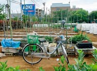 Nerima, 430 fermes urbaines dans Tokyo - Image 2