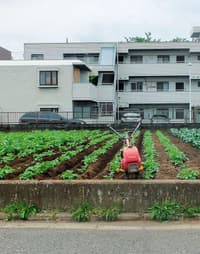 Nerima, 430 fermes urbaines dans Tokyo - Image 4