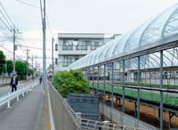 Nerima, 430 fermes urbaines dans Tokyo - Image 3