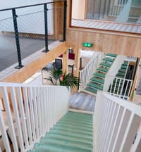 La Canopée de Nature & Découvertes à Versailles Chantier par l'agence Construire - Image 4