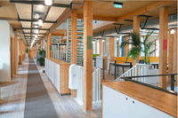 La Canopée de Nature & Découvertes à Versailles Chantier par l'agence Construire - Image 10