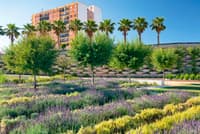Parque Central à Valence par l'équipe de Gustafson Porter + Bowman - Image 2