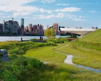 L'aménagement paysager du Hunter's Point South Waterfront Park à New York - Image 6