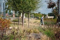 Aménagement paysager du parvis de la gare de Saint-Quentin - Image 6