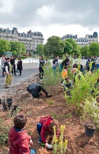 À Paris, place aux piétons et à la végétation - Image 3