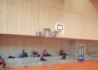 Un monolithe pour les sportifs conçu à Lyon par Dietrich - Untertrifaller Architectes et Tekhnê - Image 5