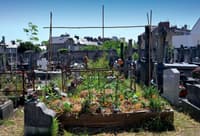 Les cimetières, vers une mixité d'usages? - Image 2