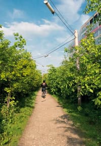 La forêt linéaire de la ZAC Claude Bernard à Paris - Image 4