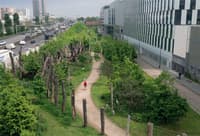 La forêt linéaire de la ZAC Claude Bernard à Paris - Image 3