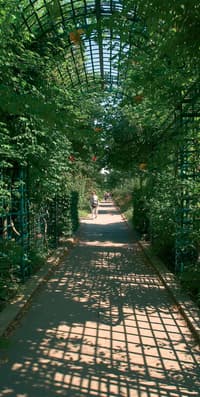 Des trames vertes pour transformer l'espace des villes - Image 5