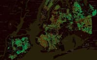Cartographier les arbres de nos métropoles - Image 2