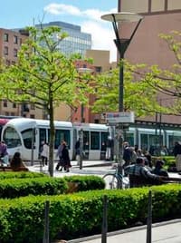Le tramway : un impact environnemental discuté - Image 3