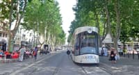 Le tramway : un impact environnemental discuté - Image 4