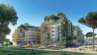 Verdir la ville ou favoriser la biodiversité ? - Image 2