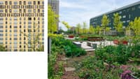 Trois acteurs pour une ville adaptée - Image 5